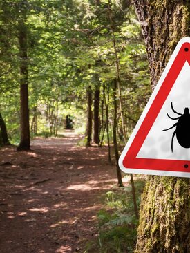 Warnschild mit Zeckensymbol an Baum im Wald, Hinweis auf Borreliose-Risiko